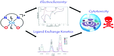 Graphical abstract: Physical properties, ligand substitution reactions, and biological activity of Co(iii)-Schiff base complexes