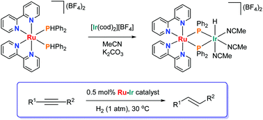 Graphical abstract: Bis(bipyridine) ruthenium(ii) bis(phosphido) metalloligand: synthesis of heterometallic complexes and application to catalytic (E)-selective alkyne semi-hydrogenation