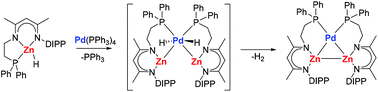 Graphical abstract: Transition metal-induced dehydrogenative coupling of zinc hydrides