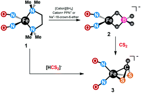 Graphical abstract: Transformation of the hydride-containing dinitrosyl iron complex [(NO)2Fe(η2-BH4)]− into [(NO)2Fe(η3-HCS2)]−via reaction with CS2