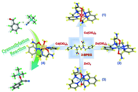 Graphical abstract: Novel primary amide-based cationic metal complexes: green synthesis, crystal structures, Hirshfeld surface analysis and solvent-free cyanosilylation reaction