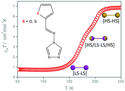 Graphical abstract: Heteroatom substitution effects in spin crossover dinuclear complexes