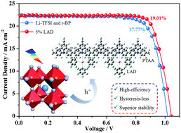 Graphical abstract: Toward high-efficiency, hysteresis-less, stable perovskite solar cells: unusual doping of a hole-transporting material using a fluorine-containing hydrophobic Lewis acid
