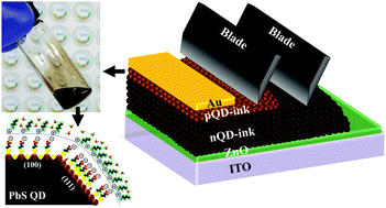 Graphical abstract: Solid-state-ligand-exchange free quantum dot ink-based solar cells with an efficiency of 10.9%