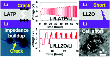 Graphical abstract: The role of the solid electrolyte interphase layer in preventing Li dendrite growth in solid-state batteries