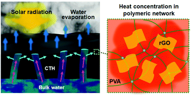 Graphical abstract: A hydrogel-based antifouling solar evaporator for highly efficient water desalination