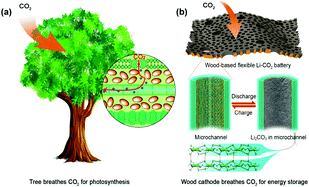 Graphical abstract: Flexible lithium–CO2 battery with ultrahigh capacity and stable cycling
