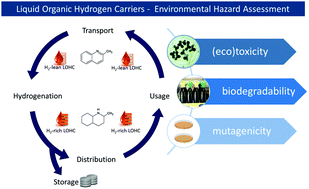 Graphical abstract: Hazard assessment of quinaldine-, alkylcarbazole-, benzene- and toluene-based liquid organic hydrogen carrier (LOHCs) systems