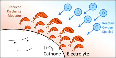 Graphical abstract: Dynamic oxygen shield eliminates cathode degradation in lithium–oxygen batteries