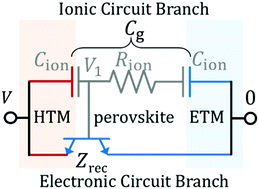Graphical abstract: Ionic-to-electronic current amplification in hybrid perovskite solar cells: ionically gated transistor-interface circuit model explains hysteresis and impedance of mixed conducting devices