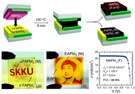 Graphical abstract: Bifacial stamping for high efficiency perovskite solar cells