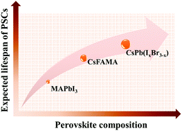 Graphical abstract: Enhancement in lifespan of halide perovskite solar cells