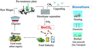 Graphical abstract: Simultaneous production of biomethane and food grade CO2 from biogas: an industrial case study