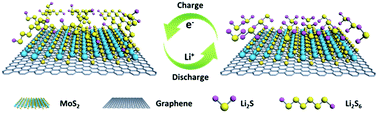 Graphical abstract: Freestanding 1T MoS2/graphene heterostructures as a highly efficient electrocatalyst for lithium polysulfides in Li–S batteries