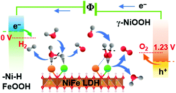 Graphical abstract: Direct observation of active catalyst surface phases and the effect of dynamic self-optimization in NiFe-layered double hydroxides for alkaline water splitting