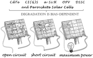 Graphical abstract: Bias-dependent degradation of various solar cells: lessons for stability of perovskite photovoltaics