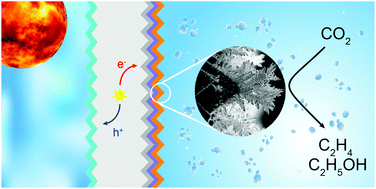 Graphical abstract: Si photocathode with Ag-supported dendritic Cu catalyst for CO2 reduction