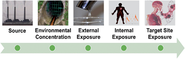 Graphical abstract: Refining the aggregate exposure pathway