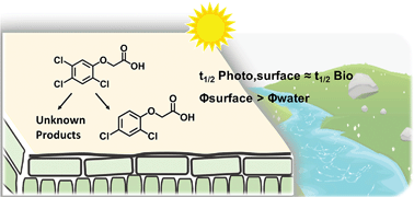 Graphical abstract: Emerging investigator series: sunlight photolysis of 2,4-D herbicides in systems simulating leaf surfaces