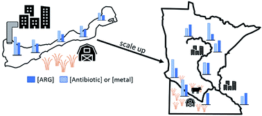 Graphical abstract: Small and large-scale distribution of four classes of antibiotics in sediment: association with metals and antibiotic resistance genes