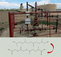 Graphical abstract: Degradation of polyethylene glycols and polypropylene glycols in microcosms simulating a spill of produced water in shallow groundwater