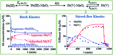 Graphical abstract: Modeling coupled kinetics of antimony adsorption/desorption and oxidation on manganese oxides
