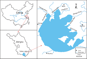 Graphical abstract: Occurrence and ecological risk assessment of pharmaceuticals and personal care products in Taihu Lake, China: a review
