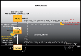 Graphical abstract: Iron and nitrogen cycling, bacterioplankton community composition and mineral transformations involving phosphorus stabilisation in the ferruginous hypolimnion of a post-mining lake