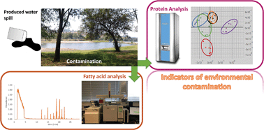 Graphical abstract: Analysis of bacteria stress responses to contaminants derived from shale energy extraction