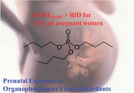 Graphical abstract: A pilot study of metabolites of organophosphorus flame retardants in paired maternal urine and amniotic fluid samples: potential exposure risks of tributyl phosphate to pregnant women