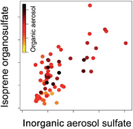 Graphical abstract: Organosulfates in aerosols downwind of an urban region in central Amazon