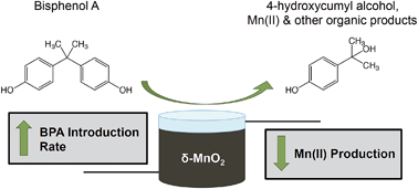 Graphical abstract: Impact of bisphenol A influent concentration and reaction time on MnO2 transformation in a stirred flow reactor