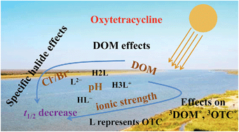 Graphical abstract: Combined effects of dissolved organic matter, pH, ionic strength and halides on photodegradation of oxytetracycline in simulated estuarine waters