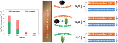 Graphical abstract: Biochar amendment and Calamagrostis angustifolia planting affect sources and production pathways of N2O in agricultural ditch systems