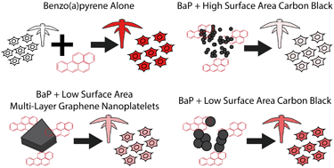 Graphical abstract: Impact of emerging, high-production-volume graphene-based materials on the bioavailability of benzo(a)pyrene to brine shrimp and fish liver cells