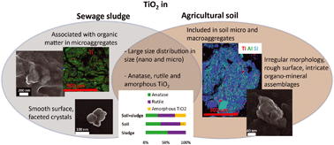 Graphical abstract: Searching for relevant criteria to distinguish natural vs. anthropogenic TiO2 nanoparticles in soils
