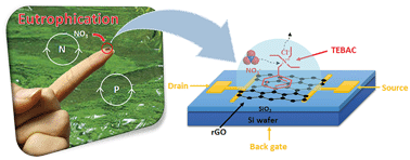 Graphical abstract: Real-time and selective detection of nitrates in water using graphene-based field-effect transistor sensors