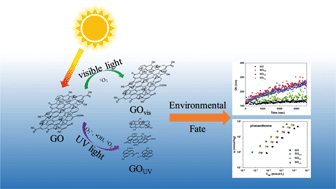 Graphical abstract: Influence of light wavelength on the photoactivity, physicochemical transformation, and fate of graphene oxide in aqueous media