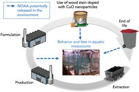 Graphical abstract: Environmental exposure of a simulated pond ecosystem to a CuO nanoparticle-based wood stain throughout its life cycle