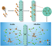 Graphical abstract: Highly efficient adsorption of uranium(vi) from aqueous solution by a novel adsorbent: titanium phosphate nanotubes