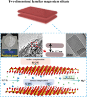 Graphical abstract: Two-dimensional lamellar magnesium silicate with large spacing as an excellent adsorbent for uranium immobilization