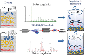 Graphical abstract: A novel understanding of residual nano-Al13 formation and degradation during coagulation and flocculation: a proof based on ESI-TOF-MS
