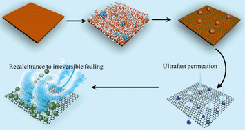 Graphical abstract: Direct growth of ultra-permeable molecularly thin porous graphene membranes for water treatment