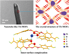 Graphical abstract: Efficient removal of Pb2+ by Tb-MOFs: identifying the adsorption mechanism through experimental and theoretical investigations