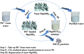 Graphical abstract: Removal and recovery of Pb from wastewater through a reversible phase transformation process between nano-flower-like Mg(OH)2 and soluble Mg(HCO3)2