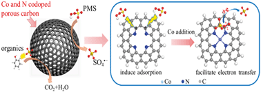 Graphical abstract: Enhanced heterogeneous activation of peroxymonosulfate by Co and N codoped porous carbon for degradation of organic pollutants: the synergism between Co and N