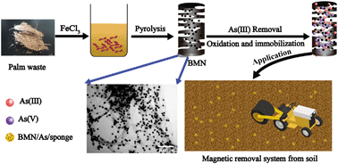 Graphical abstract: Oxidation and removal of As(iii) from soil using novel magnetic nanocomposite derived from biomass waste