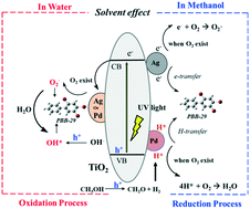 Graphical abstract: Photocatalytic degradation of polybrominated biphenyls (PBBs) on metal doped TiO2 nanocomposites in aqueous environments: mechanisms and solution effects