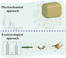 Graphical abstract: Secondary nanoplastics released from a biodegradable microplastic severely impact freshwater environments