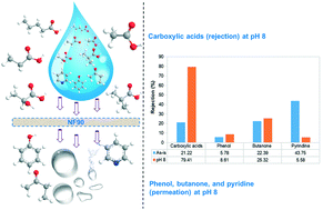 Graphical abstract: Advanced treatment of hydrothermal liquefaction wastewater with nanofiltration to recover carboxylic acids